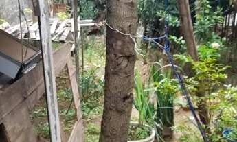 Imagem 7: Terreno em Jardim Laura por R$ 200.000. Imóvel Rural em São Paulo/SP