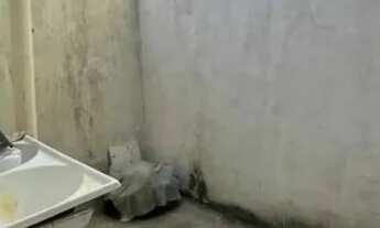 Imagem 14: Excelente oportunidade de ter sua casa própria