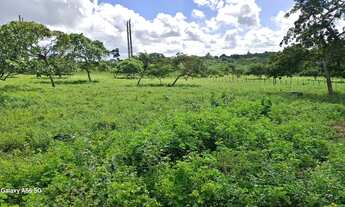 Imagem 2: Excelente área de terra de 9. 5t Distrito TiquaruçúR$ 380.000t