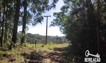 Imagem 3: Chácara com 1 dormitório à venda, 52000 m² por R$ 2.000.000,00 - Cachoeira - São José dos