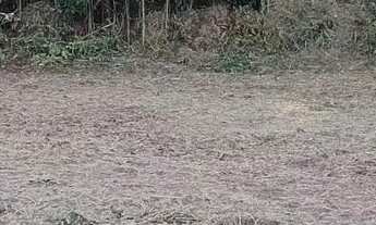 Imagem 5: VENDO TERRENO EM MANACAPURU