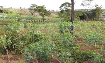 Imagem 4: Chácara em Ótima Localização