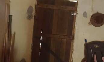 Imagem 6: Sítio com casa 4 água zona rura em média l 4.5 tarefa de terra