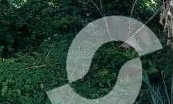 Imagem 3: TERRENO EM SÃO FRANCISCO