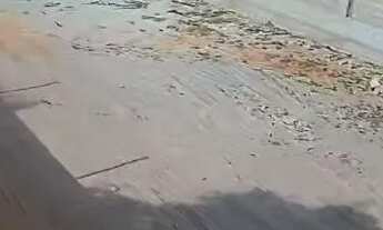 Imagem 3: Terreno no Mosqueiro