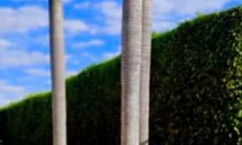 Imagem 3: Réveillon Exclusivo no Park Way