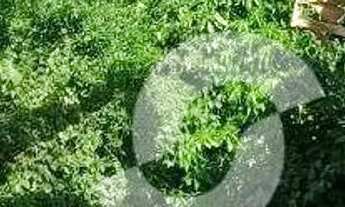 Imagem 7: TERRENO EM SÃO FRANCISCO