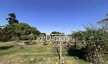 Imagem 4: Sítio para Venda em Moeda, A Definir Em Campo