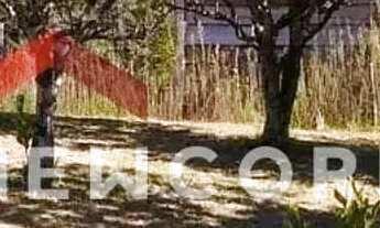 Imagem 2: Sítio em Linha Caraha - linha carahá - Gramado/RS