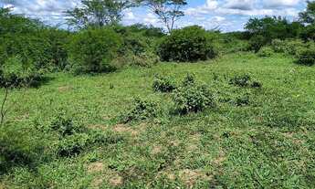 Imagem 7: Vendo terreno (GRANDE OPORTUNIDADE