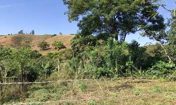 Imagem 6: Fazenda com 31 hectares em Rio Casca