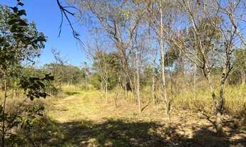 Imagem 7: Excelente terreno rural de 9,5 hectares, com casa, lagoa, pomar produzindo e curral