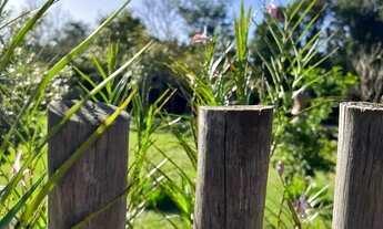 Imagem 4: Terreno à venda, 325 m² por R$ 790.000,00 - Alto Alegre - Cascavel/PR