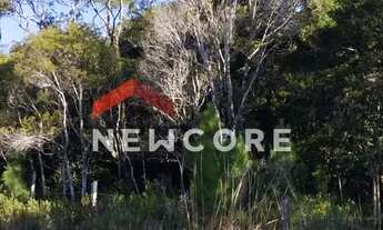 Imagem 6: Lote em Rua Abutilon - Colinas - São Francisco de Paula/RS