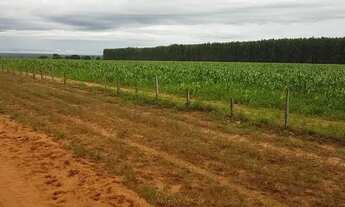 Imagem 4: Fazenda de 6.300 hectares em Bonfinopolis-MG