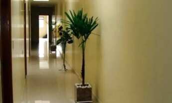 Imagem 3: Galpão, Vila Amália (Zona Norte) - São Paulo