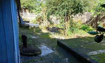 Imagem 5: Grande Terreno 16x40 no Piratini Oportunidade para Construtores