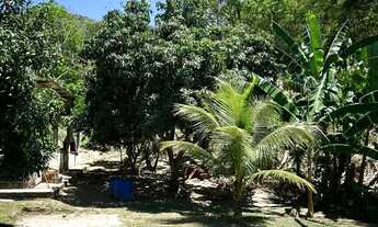 Imagem 4: Vende-se sítio em Cosmos