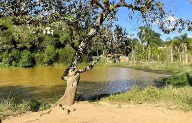 Imagem 7: Ninguém está falando sobre isso (mas deveria