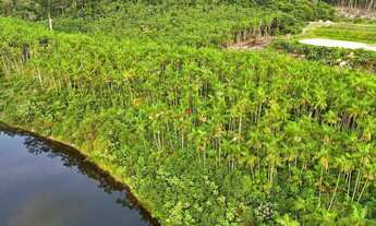 Imagem 6: Fazenda com 128 Hectares disponível pra Venda na Br 174 KM 75