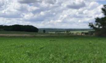 Imagem 3: Fazendinha Plana