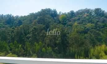 Imagem 3: Apartamento 3 quartos para alugar no(a) Jardim Carlos Gomes