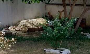 Imagem 6: Terreno 360 M2 - Avenida São Miguel (SG