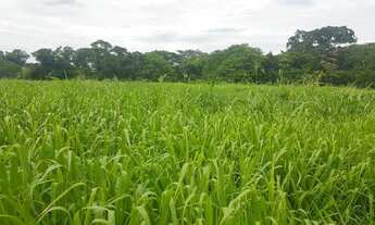 Imagem 7: Fazendinha Formada /Qualidade e Estrutura/Permuta Por Imovel Urbano