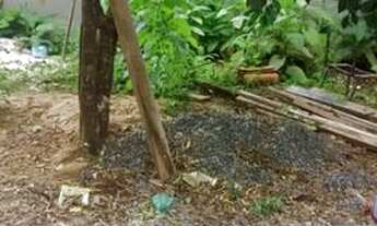 Imagem 7: Casa 3 quartos próximo ao centro registro sp