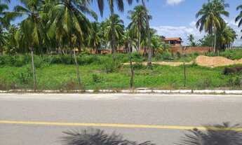 Imagem 4: Lotes na Barra Nova , metragem 8x22