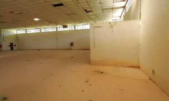 Imagem 6: Galpão Industrial Nivel 5, 1.500m2 de galpão 11.500m2 de terreno