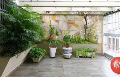 Imagem 4: São Paulo - Casa Padrão - Tucuruvi