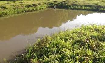 Imagem 4: Chácara em Contenda (Passo da Cruz