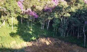 Imagem 4: Terreno rural com escritura- Rancho Queimado - SC
