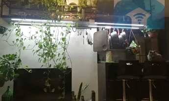 Imagem 4: Apartamento em Vila Sonia - São Paulo