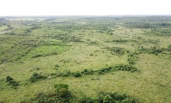 Imagem 4: 1539 alqueires no asfalto fada pra gado no Pará