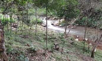 Imagem 4: Chácara com lindo rio e árvores frutíferas 6,3 alqueires!!