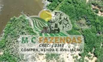 Imagem 6: Fazenda à Venda em Canudos - BA