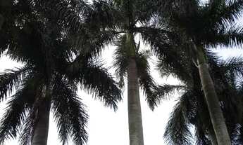 Imagem 5: Terreno - Condomínio Chácaras do Alto da Nova Campinas - Campinas