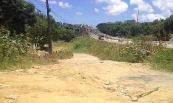 Imagem 4: Vendo Área 5200m2 com Galpão as margens da BR 101 Norte Itapissuma PE
