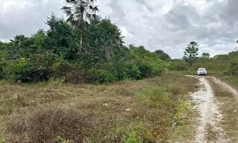 Imagem 5: Terreno Eusébio(Camará