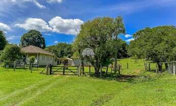 Imagem 5: Chácara Comercial/Residencial para Venda no Campo Alto em Tijucas Do Sul, 278846.62m²