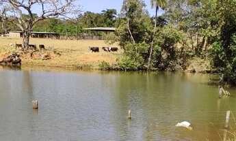 Imagem 2: Fazenda de 77 alqueires em Mairipotaba - GO