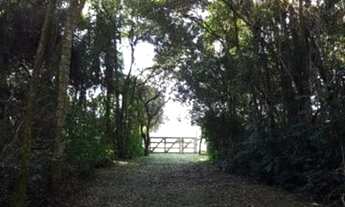 Imagem 5: SÍTIO À VENDA NO POLENGHI / MACHADINHO - ANGATUBA/SP