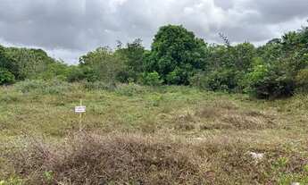 Imagem 4: Terreno Eusébio(Camará