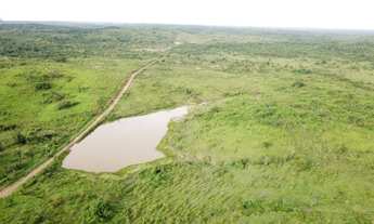 Imagem 2: 1539 alqueires no asfalto fada pra gado no Pará