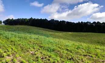 Imagem 3: Vende-se terreno em Cotia-sp