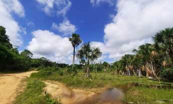 Imagem 5: 35alqueires com 28 alqueires de pasto prontos no Pará R$ 1.6 milhões