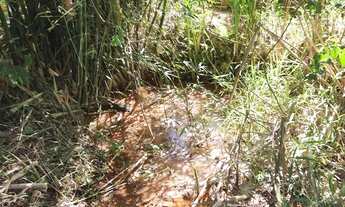 Imagem 3: Vendo terreno em Igarapé