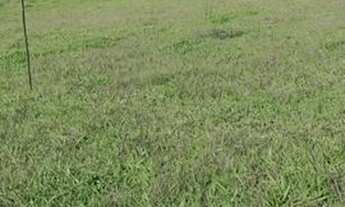 Imagem 6: Vc- ATENÇÃO: TERRENO PARA SUA CHÁCARA NO INTERIOR